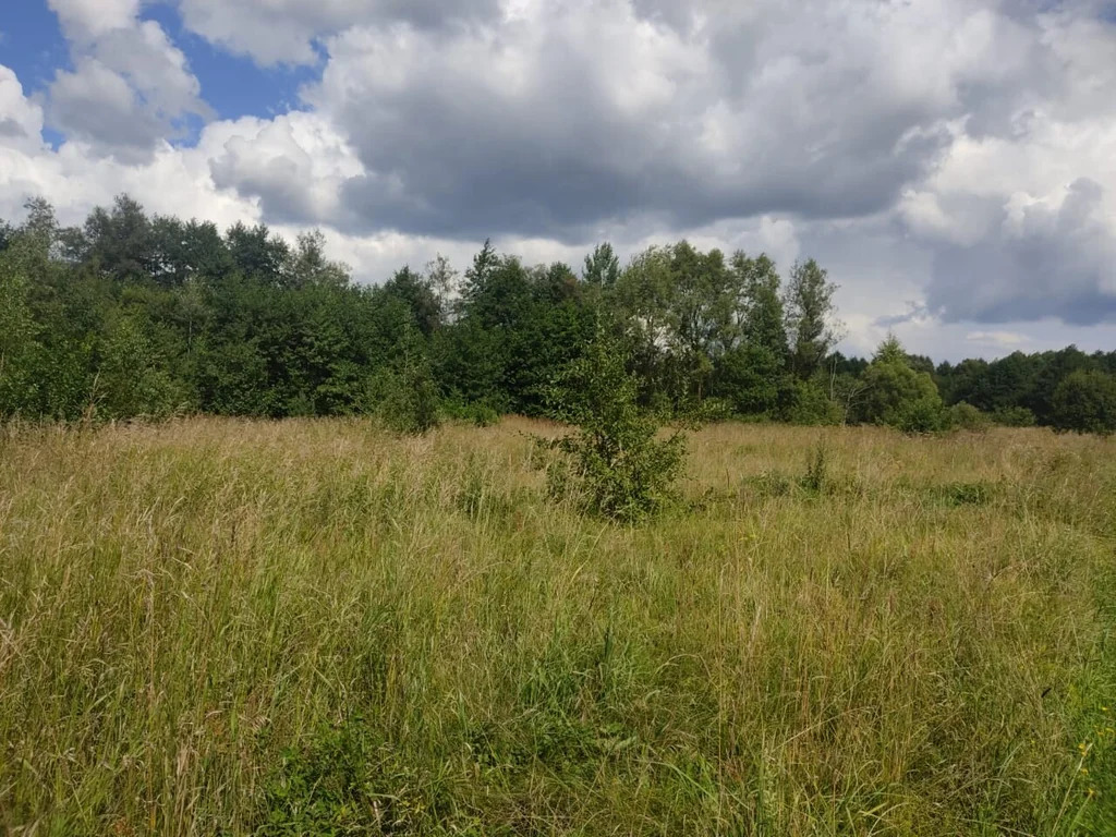 Продажа участка, Орехово-Зуевский район - Фото 4