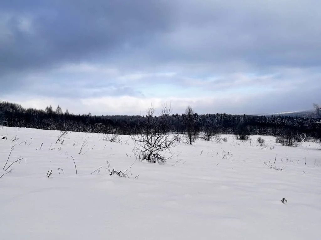Продажа участка, Горбово, Дмитровский район - Фото 2