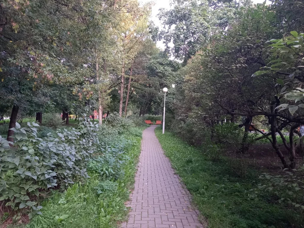 аренда комнаты в заречье. Смотреть фото аренда комнаты в заречье. Смотреть картинку аренда комнаты в заречье. Картинка про аренда комнаты в заречье. Фото аренда комнаты в заречье