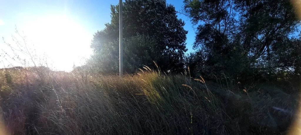 Продажа участка, Оазис, Северский район, переулок Карасунский - Фото 5