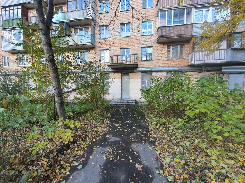 Продается ПСН 194.9 м2 - Фото 6