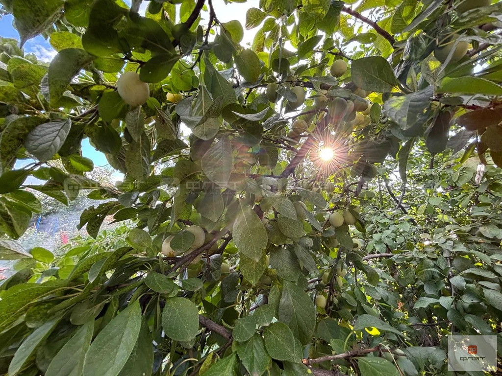 Продажа дома, Казань, с/т Подгорный - Фото 17