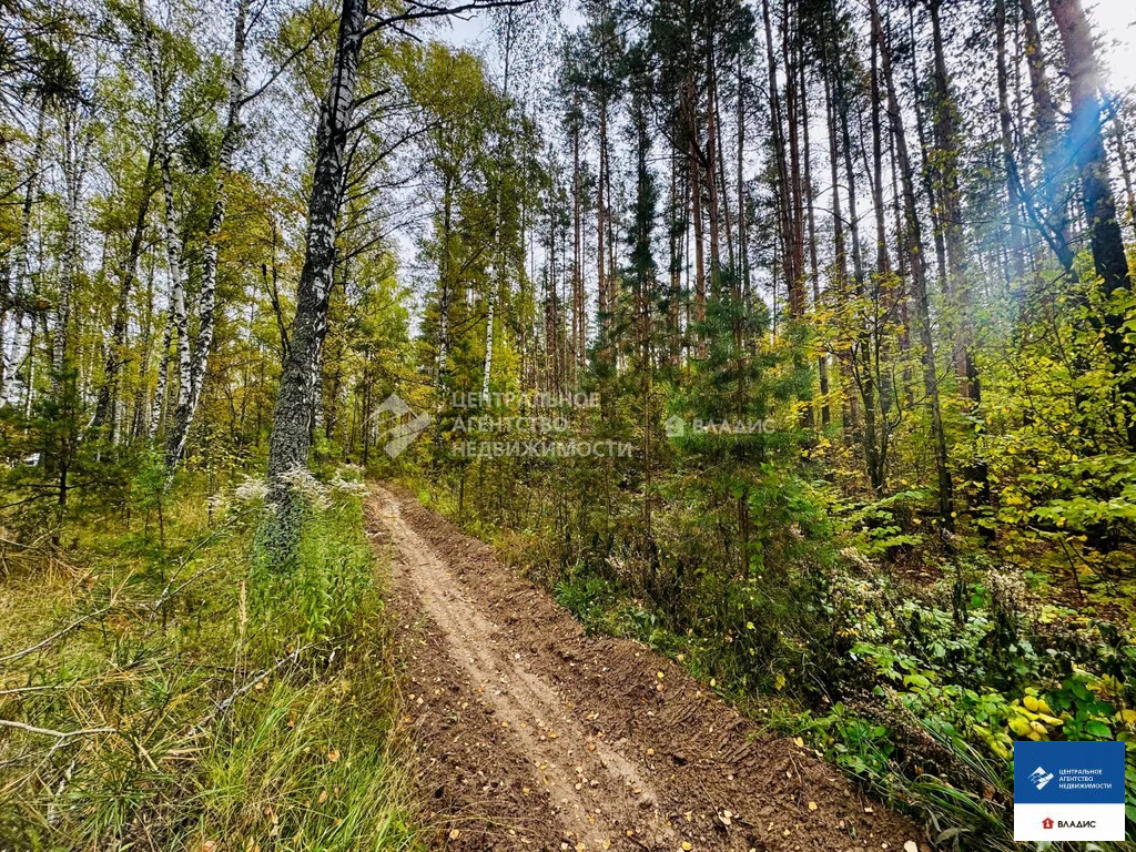 Продажа участка, Казарь, Рязанский район, ул. Лесная - Фото 4