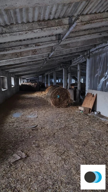 Продажа участка, Таусенгирово, Кармаскалинский район, ул. Лесная - Фото 5