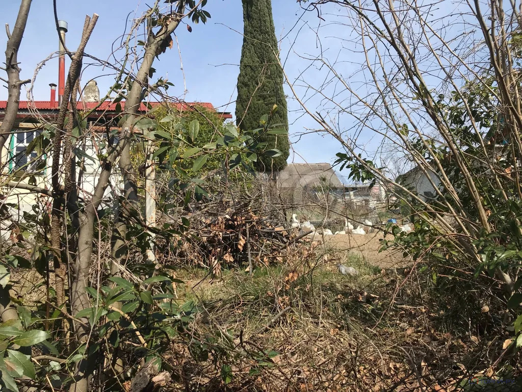 Продажа дома, Раздольное, Тепличная улица - Фото 1