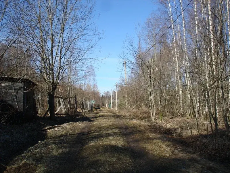 Дача в садовом товариществе - Фото 6