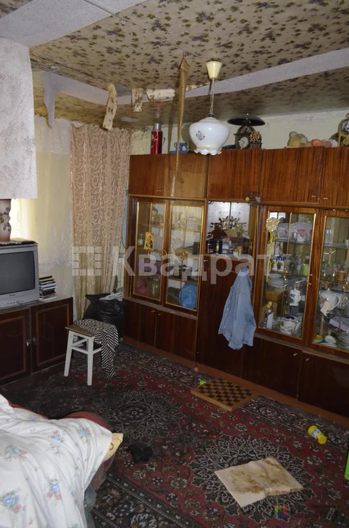 Продам родовую усадьбу - Фото 11