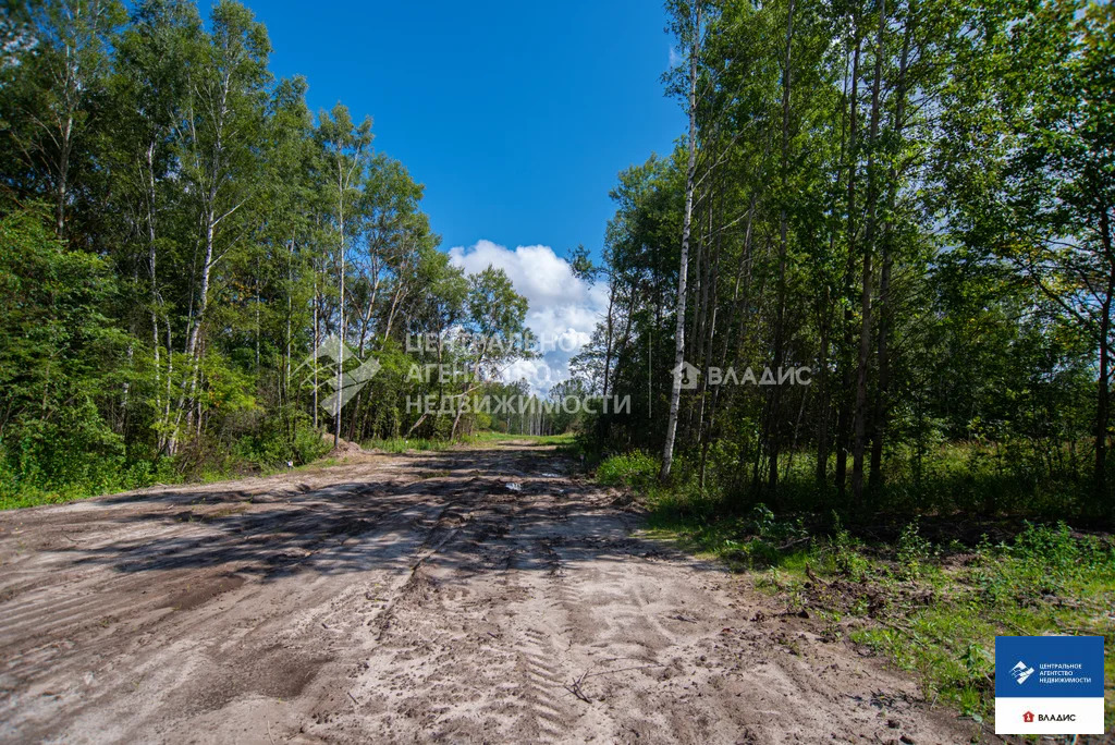 Продажа участка, Ушмор, Клепиковский район - Фото 7