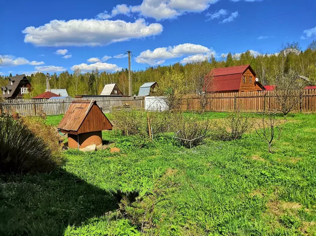 Картинка снт надежда