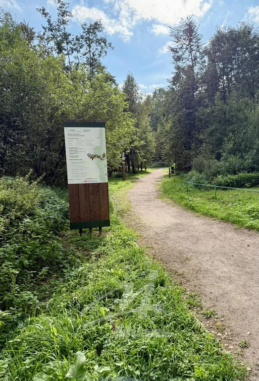 Продажа квартиры, Лобня, ул. Калинина - Фото 35