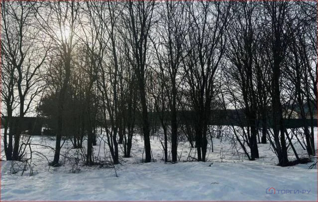 Продажа участка, Барановское, Воскресенский район - Фото 2