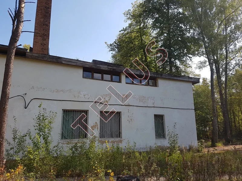 МО, Звенигород, Луцинское шоссе, Участок 8,07 га и строения 4467 м2 ... - Фото 16