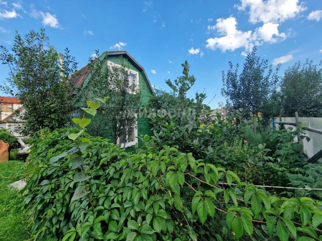 Продажа дома, Новосибирск, садовое товарищество Березовая Роща - Фото 12