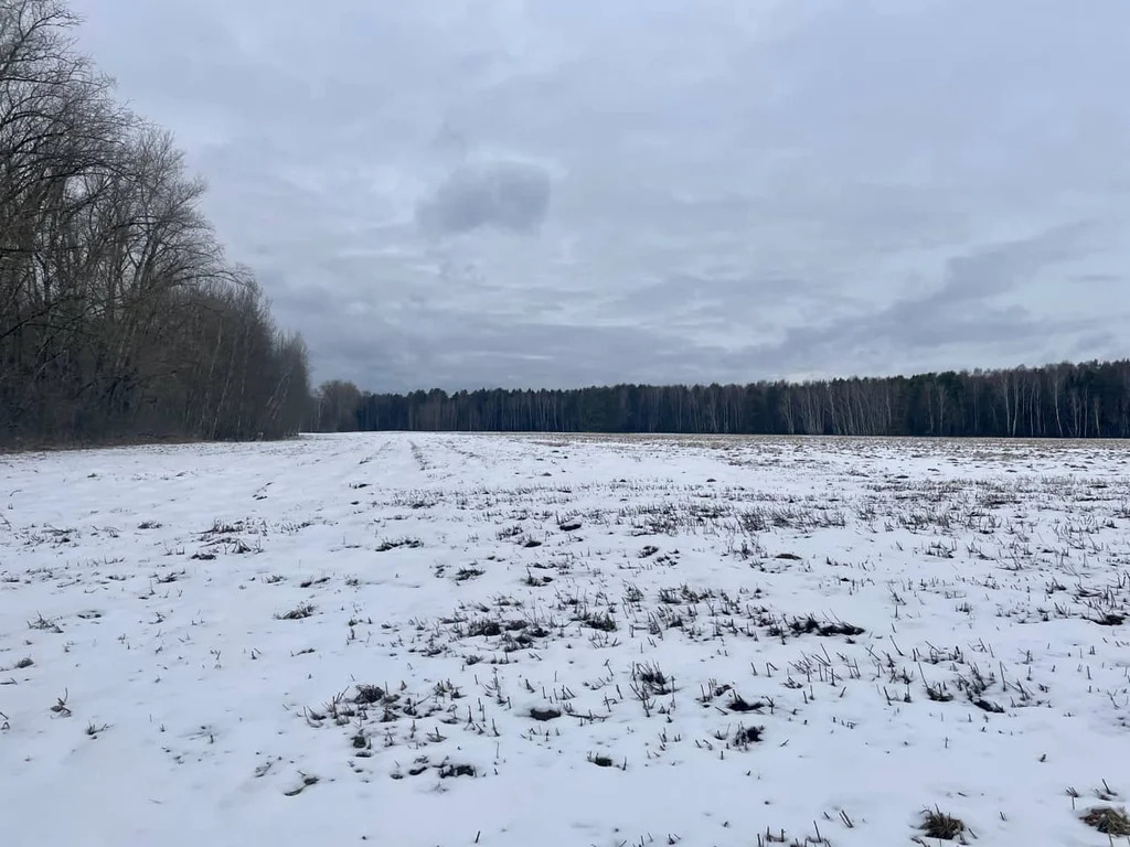 Продажа участка, Княжево, Волоколамский район - Фото 0