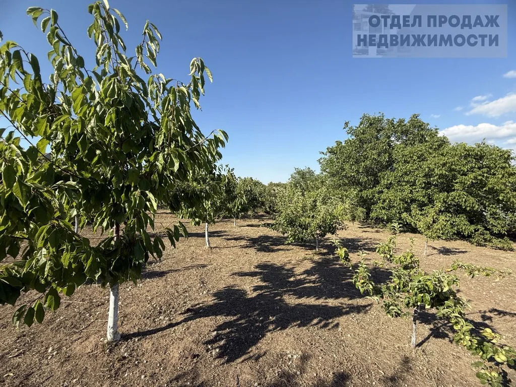 З/у с широким фасадом - Фото 5