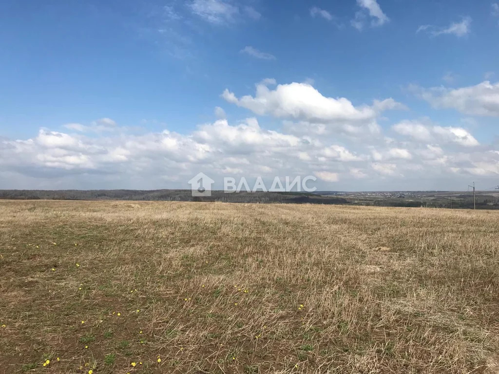 Суздальский район, село Сновицы,  земля на продажу - Фото 3