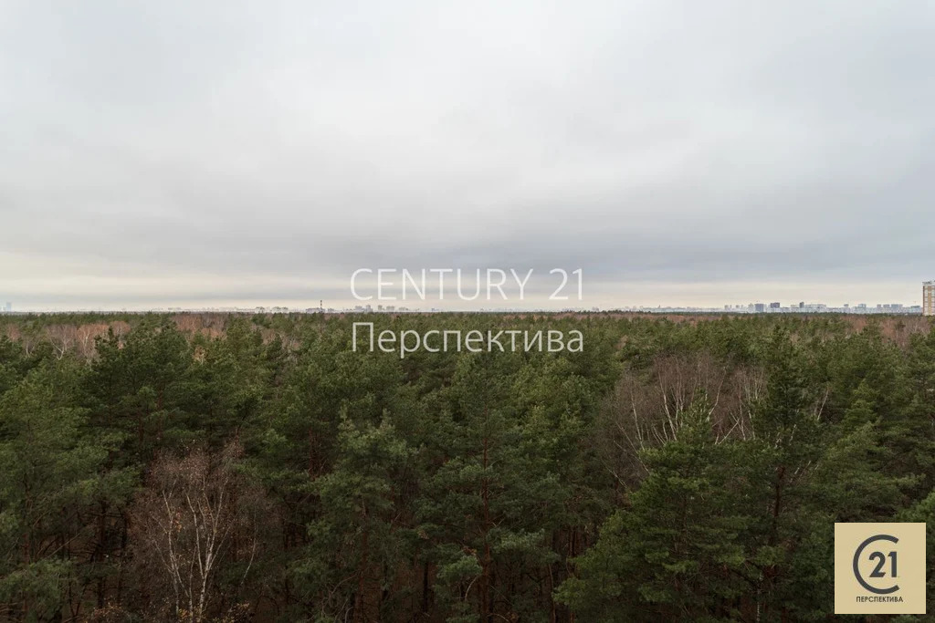 Продажа квартиры, Котельники, улица Сосновая - Фото 12