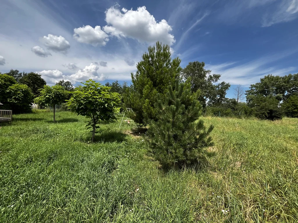 Продажа дома, Новодмитриевская, Северский район, ул. Набережная - Фото 18