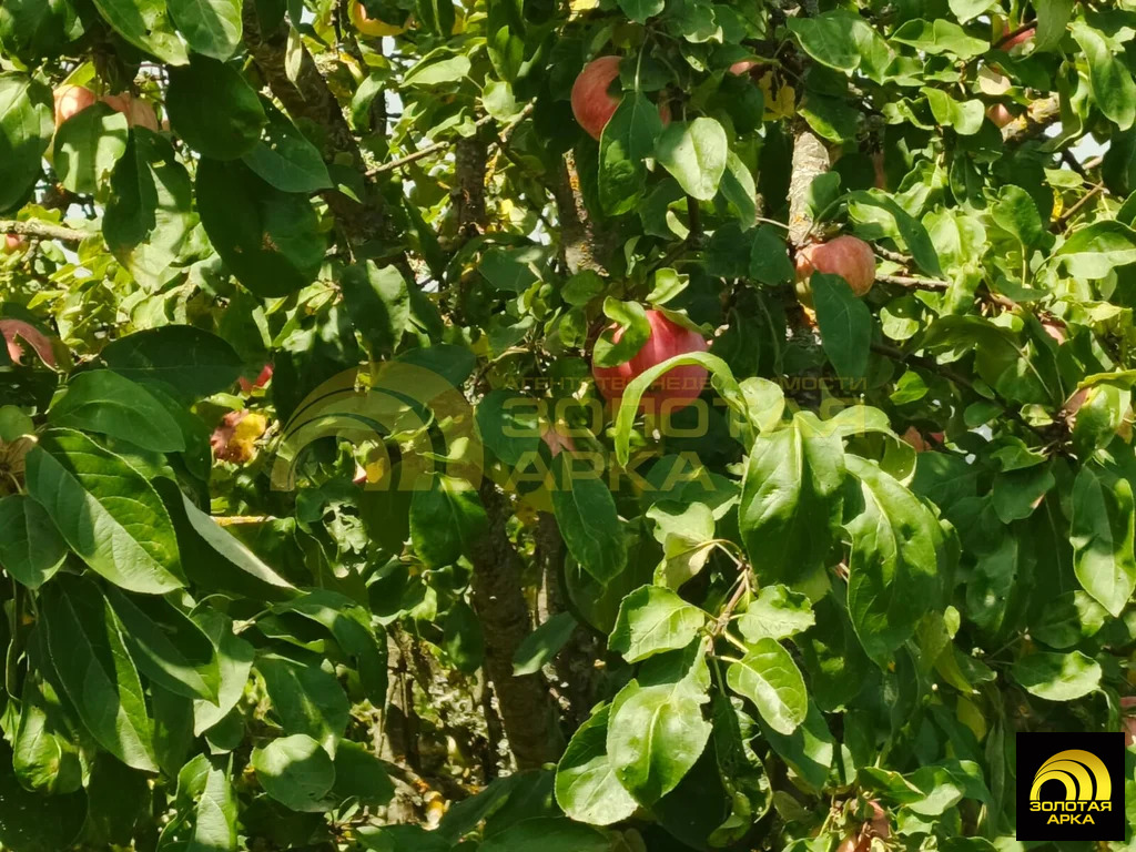 Продажа дома, Азовская, Северский район, ул. Лермонтова - Фото 20