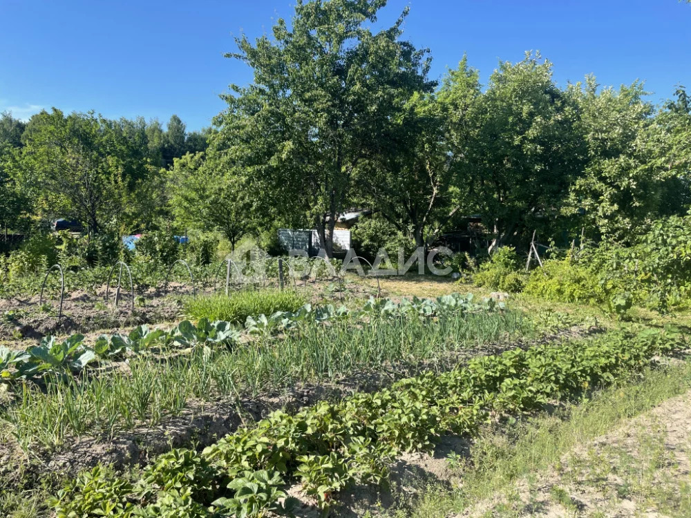 Камешковский район, садовые участки Агрохимик, дом на продажу - Фото 16