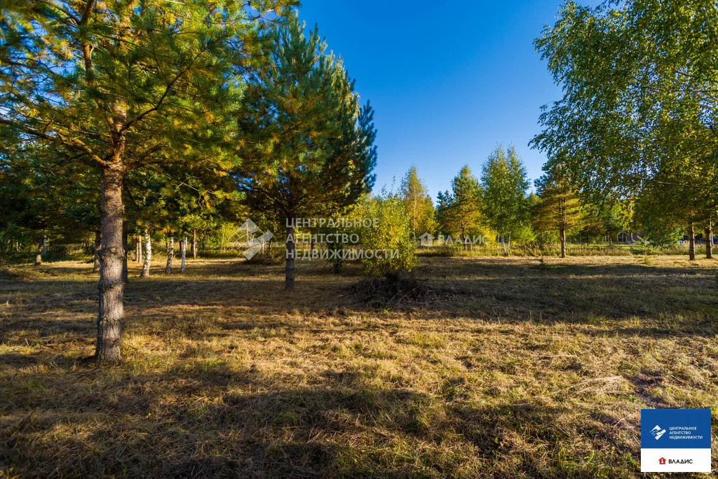 Продажа участка, Рязанский район - Фото 6