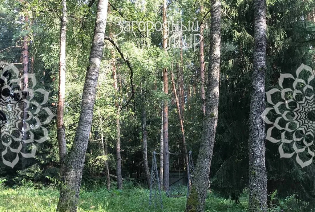 Продам участок, Новорижское шоссе, 25 км от МКАД - Фото 3