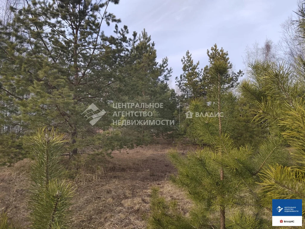 Продажа участка, Рязанский район - Фото 4