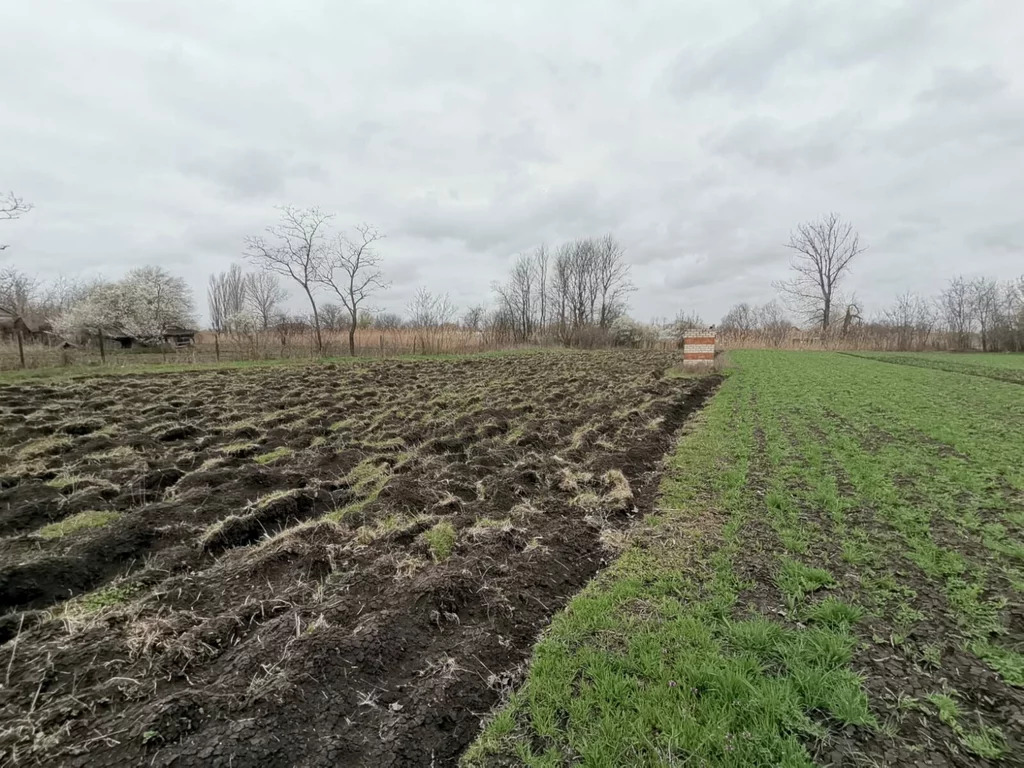 Продажа участка, Старонижестеблиевская, Красноармейский район, Ул. . - Фото 1