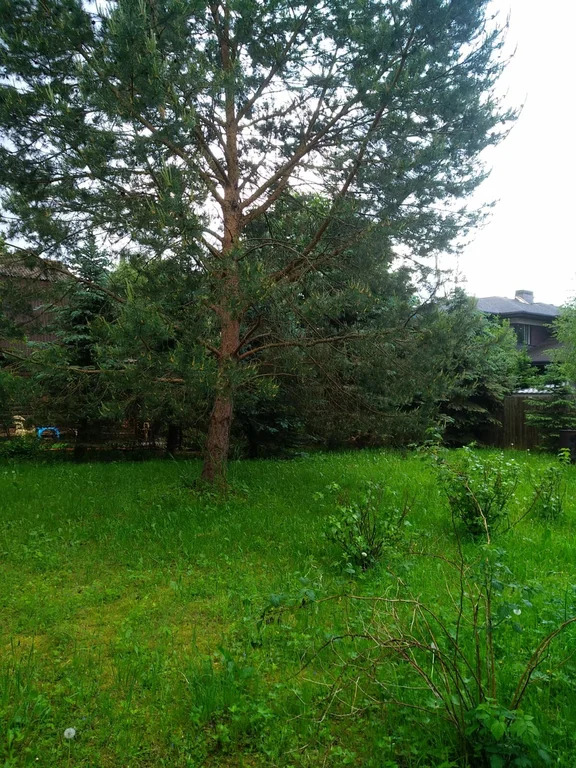 Продажа участка, Николо-Урюпино, Красногорский район, ул. Липовая - Фото 7