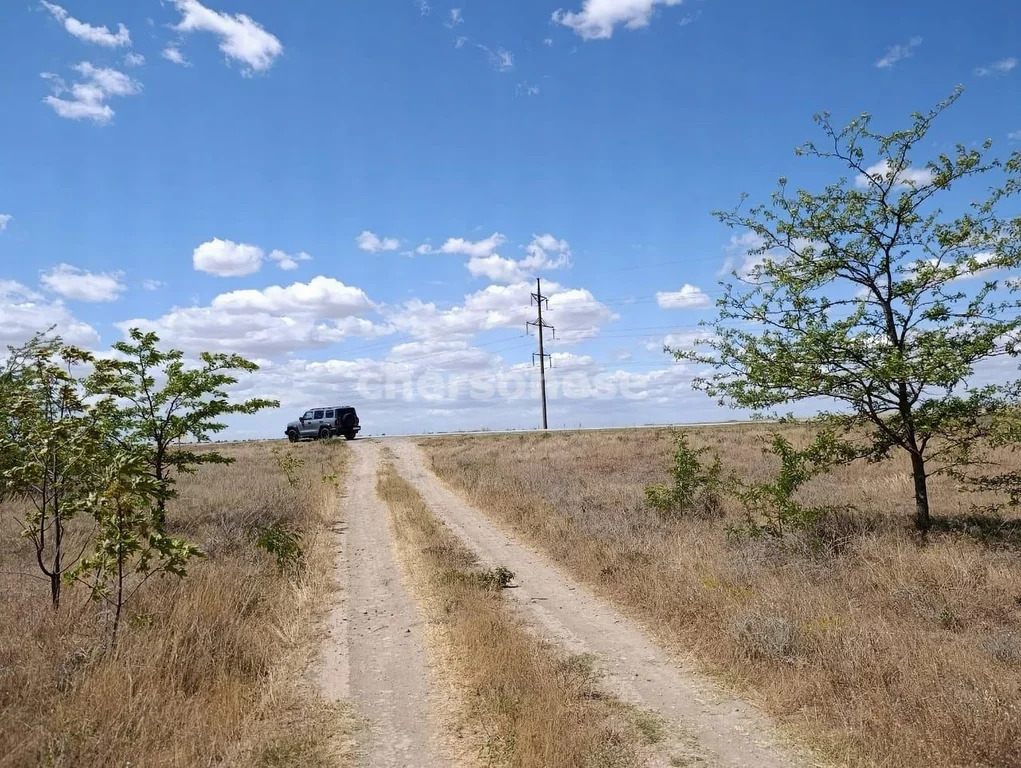 Продажа участка, Наташино, Сакский район, ул. 50 лет ВЛКСМ - Фото 8