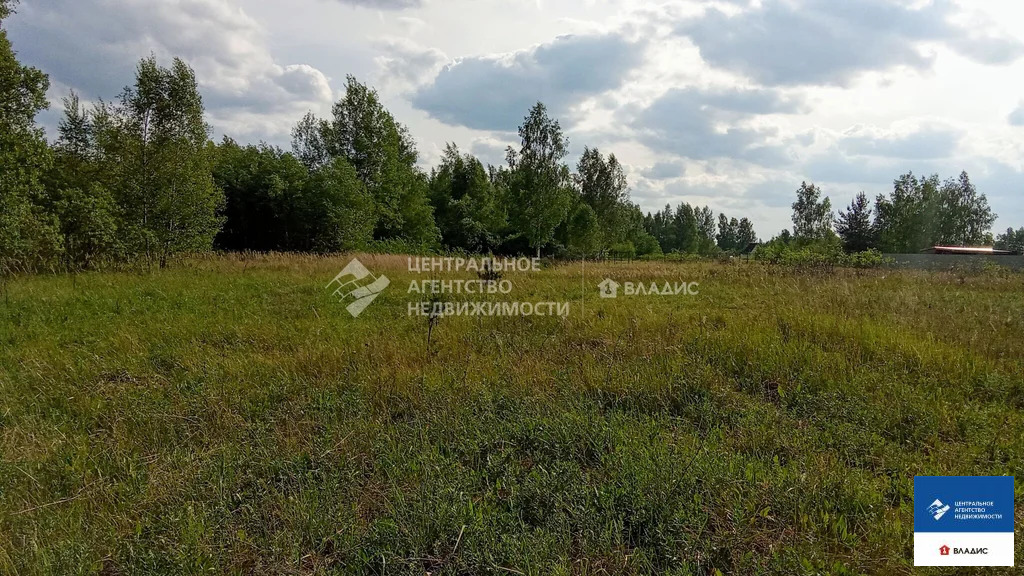 Продажа участка, Рязанский район, садоводческое товарищество ... - Фото 6