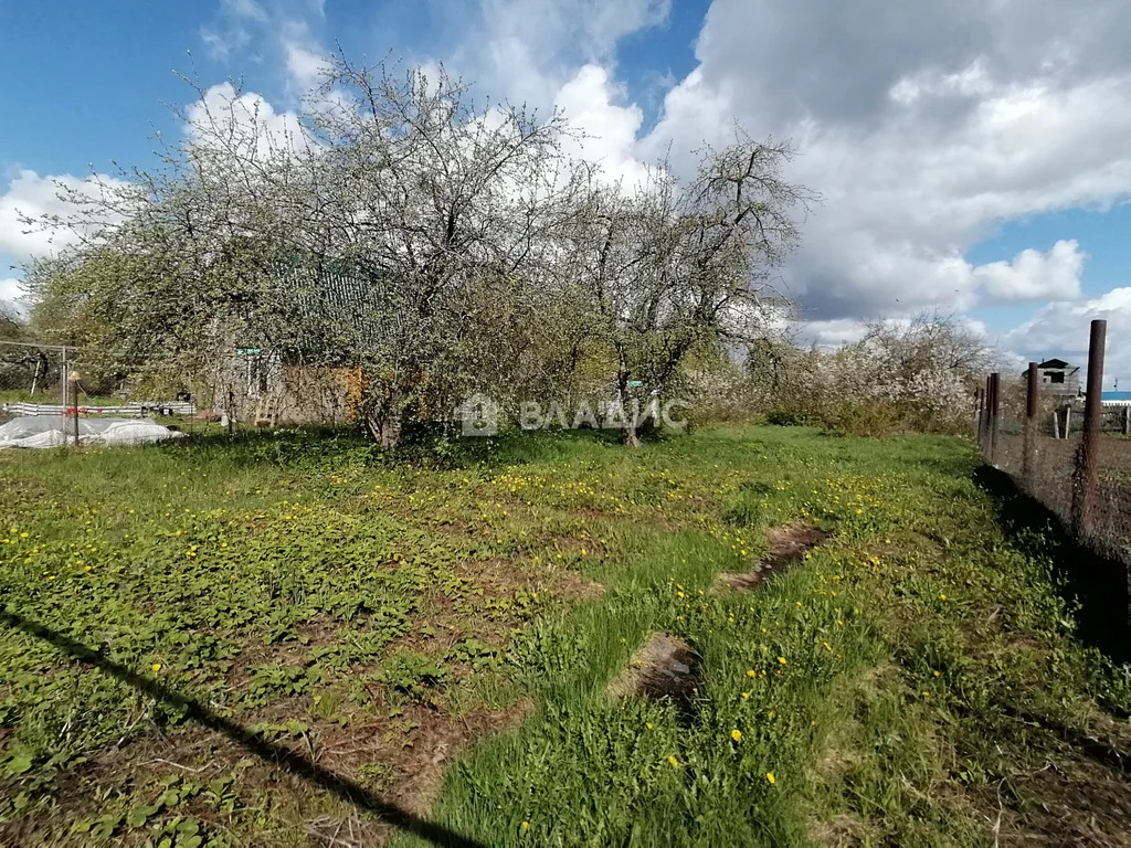 Суздальский район, село Добрынское, Пионерская улица,  дом на продажу - Фото 25