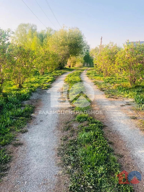 Мошковский район, село Барлак, Центральная улица,  земля на продажу - Фото 0