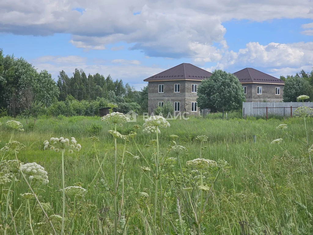 Дмитровский городской округ, деревня Матвеево,  дом на продажу - Фото 24