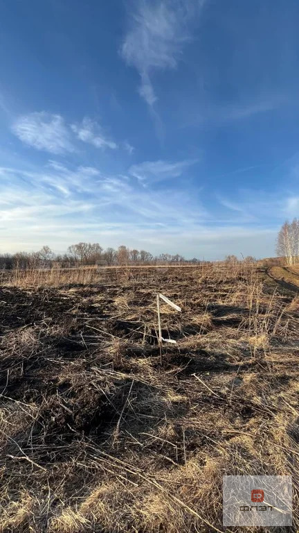 Продажа участка, Русское Макулово, Верхнеуслонский район, ул. ... - Фото 5
