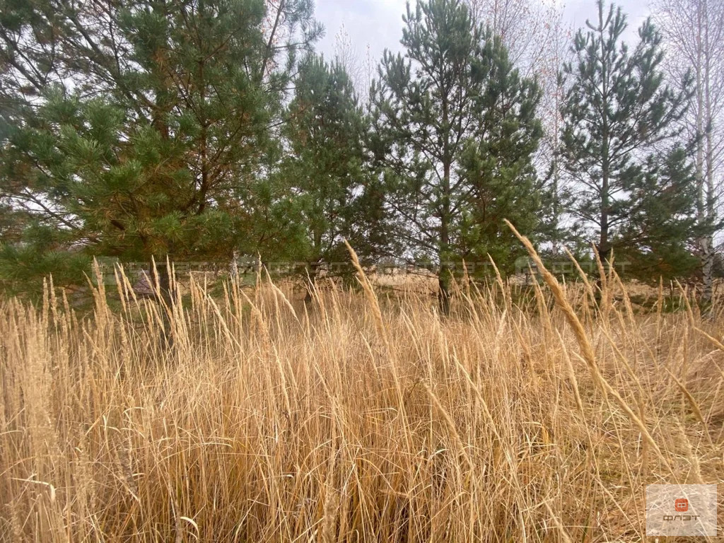 Продажа участка, Каймары, ул. Родная - Фото 3