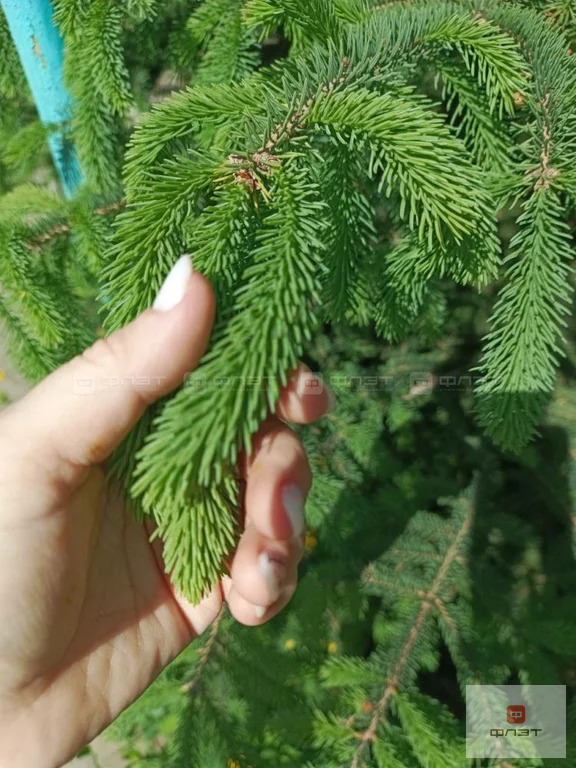 Продажа дома, Казань, тер. СНТ КГУ НПП им В.И.Ленина Лагерная - Фото 25