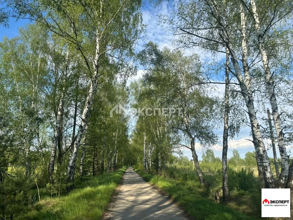 Участок, п. Елизаветино - Фото 2