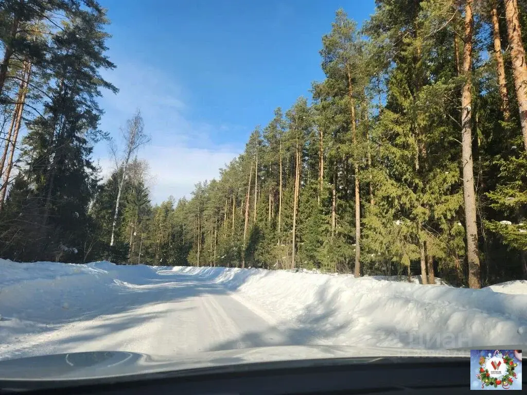 Продажа участка 15.0 сот. деревня Полутино - Фото 3