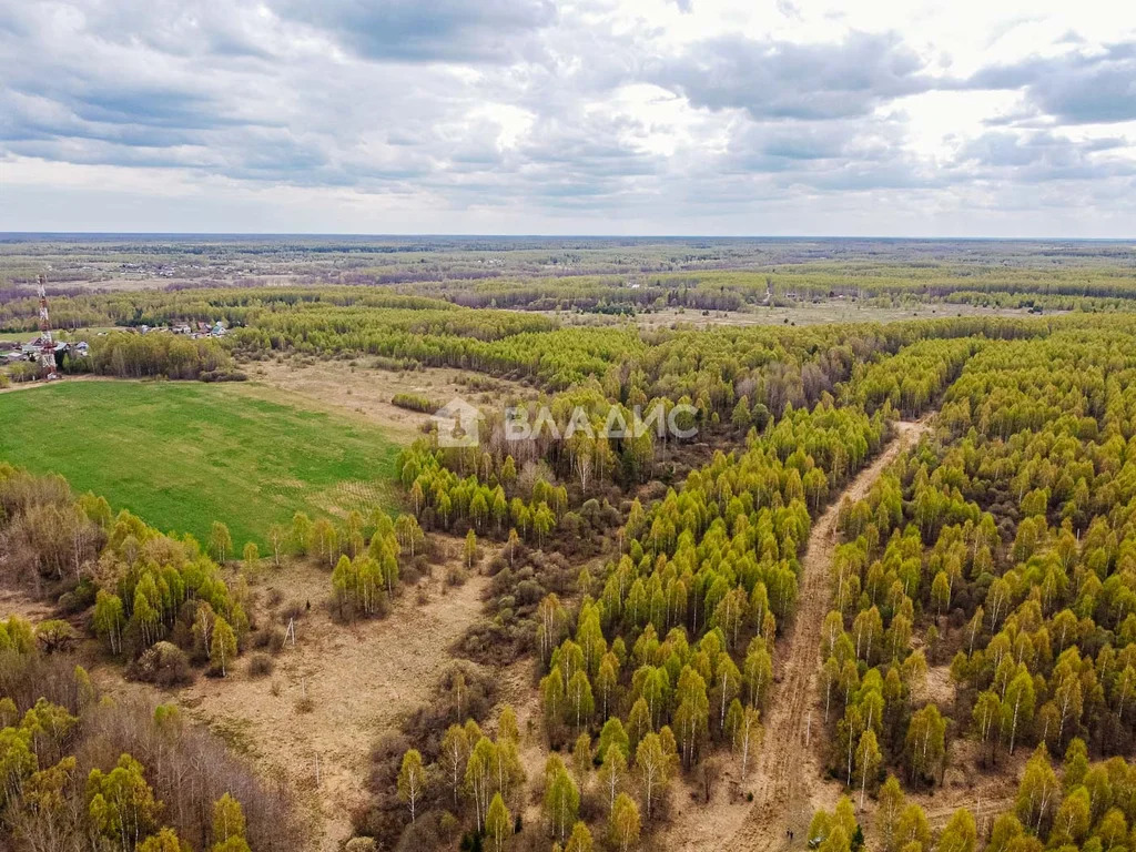 Судогодский район, деревня Кощеево, земля на продажу - Фото 3