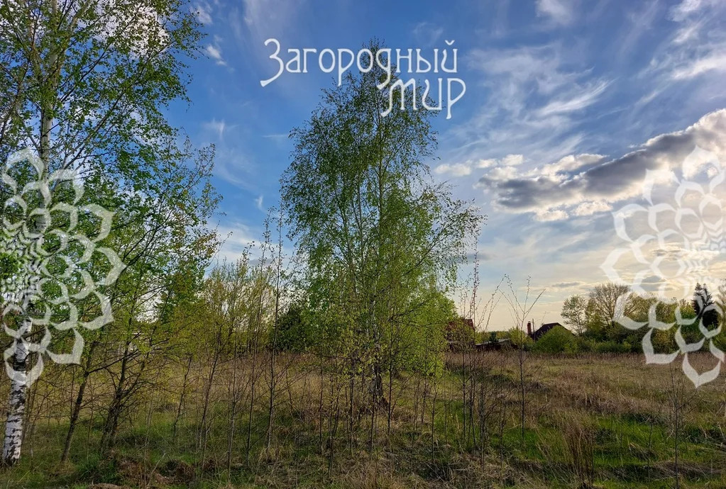 Продам участок, Горьковское шоссе, 40 км от МКАД - Фото 2
