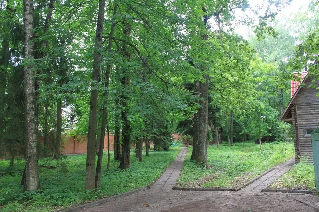 Участок лесной в стародачном посёлке ран Новодарьино на Рублевке - Фото 2