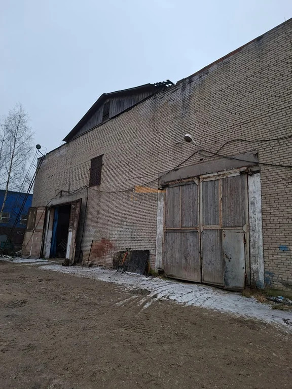 Аренда производственного помещения, Лобня, Лейтенанта Бойко ул. - Фото 3