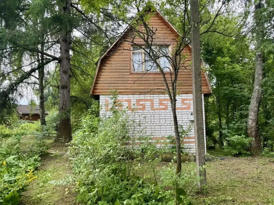 Срочно продается дача в красивом месте Переславского р., СНТ Строитель - Фото 5
