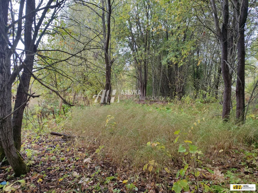Продажа участка, Горетово, Можайский район, Бестужевская улица - Фото 13