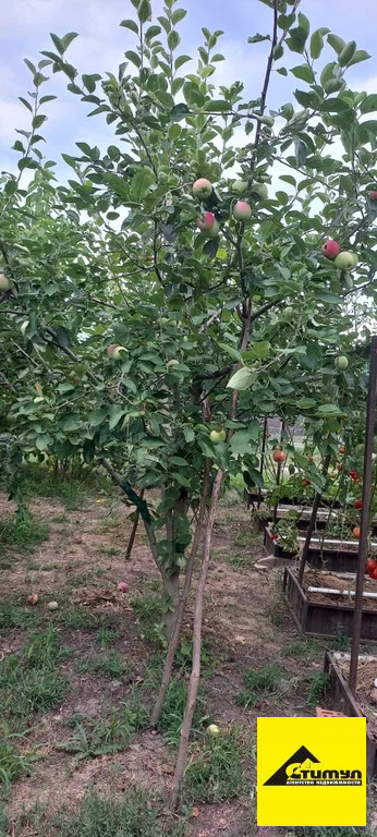 Продажа участка, Ейск, Ейский район, 12 - Фото 7