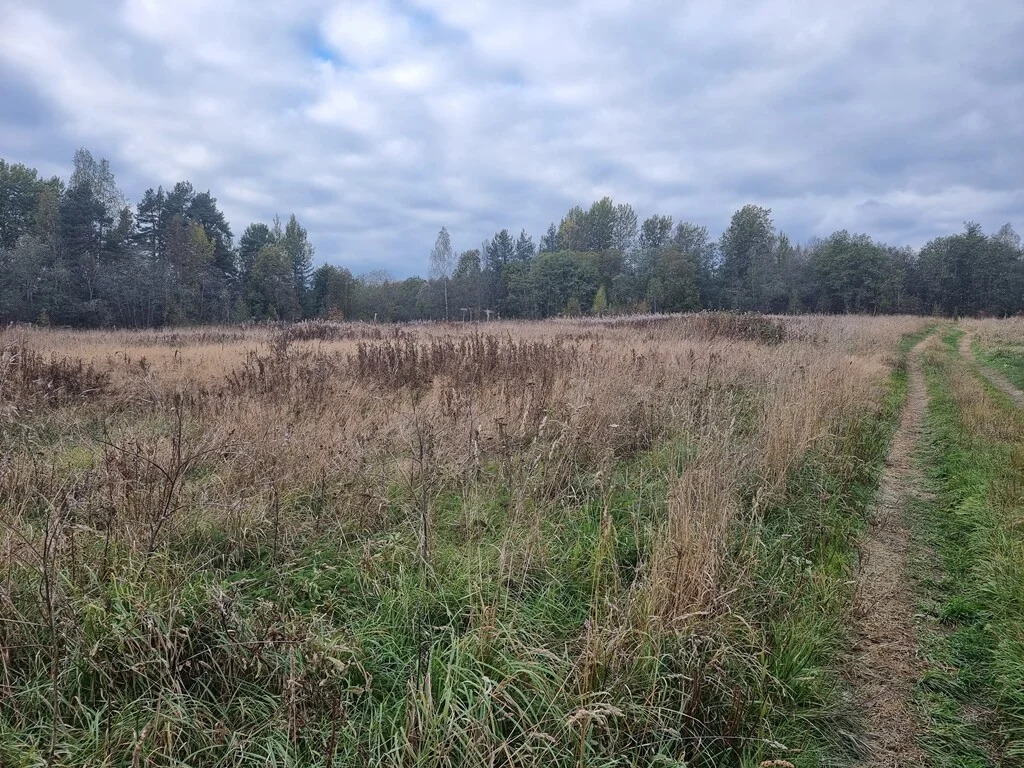 Продажа участка, Кротово, Приозерский район - Фото 15