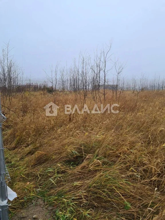 Всеволожский район, коттеджный посёлок Перепелкино,  земля на продажу - Фото 11