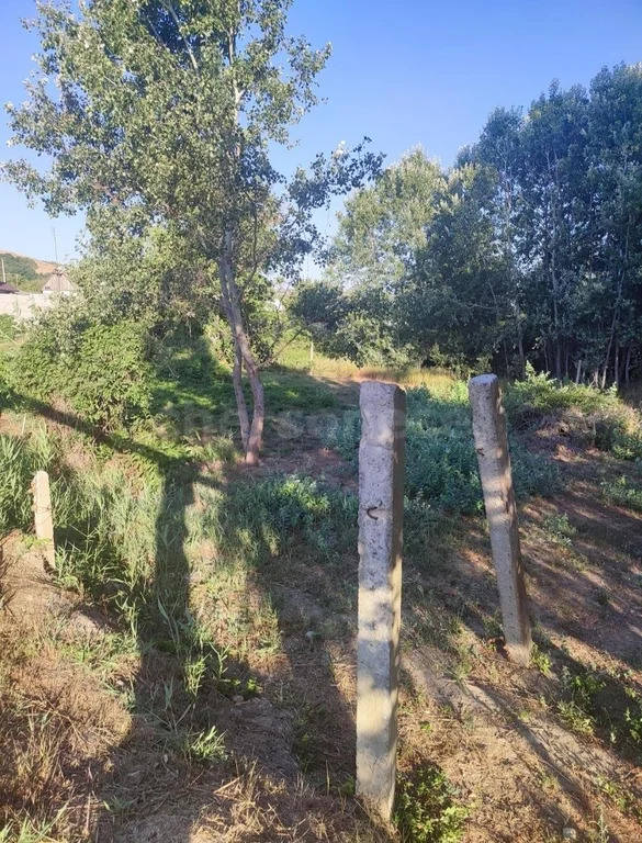 Продажа участка, Севастополь, ул. Садовая - Фото 2