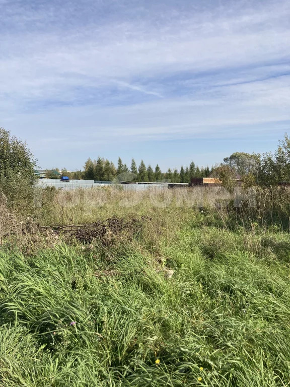Продажа участка, Шарапово, Зарайский район, Озёрная улица - Фото 8